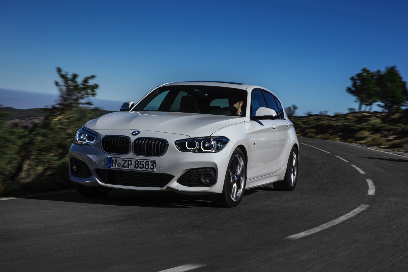 BMW 116d 2015 photo - 8