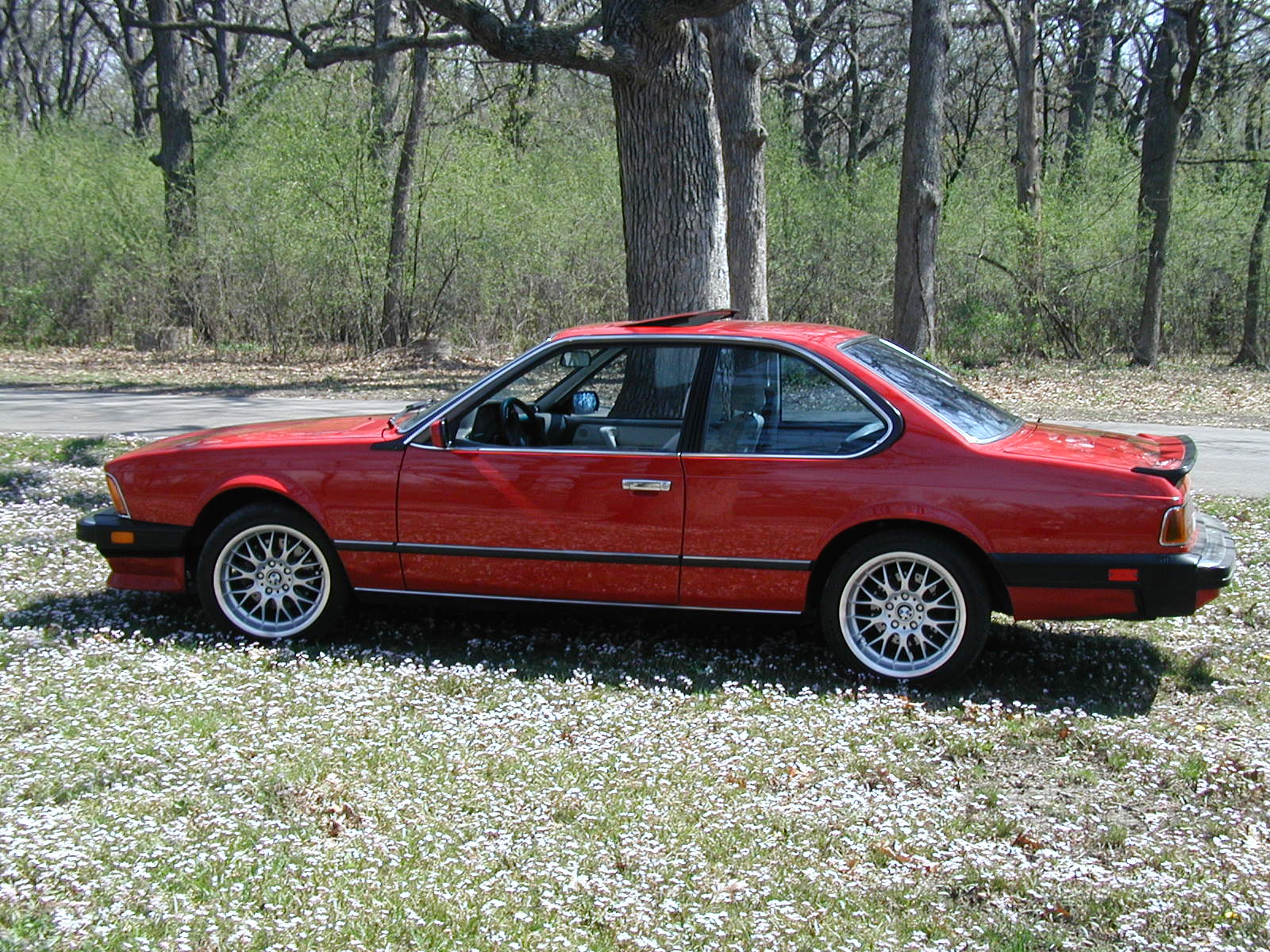 BMW M6 1987 photo - 5