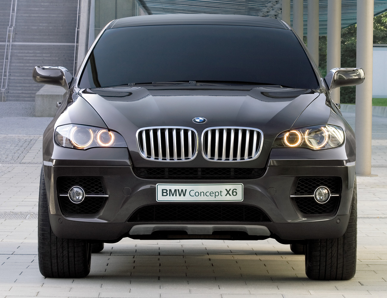 BMW X6 2009 photo - 9