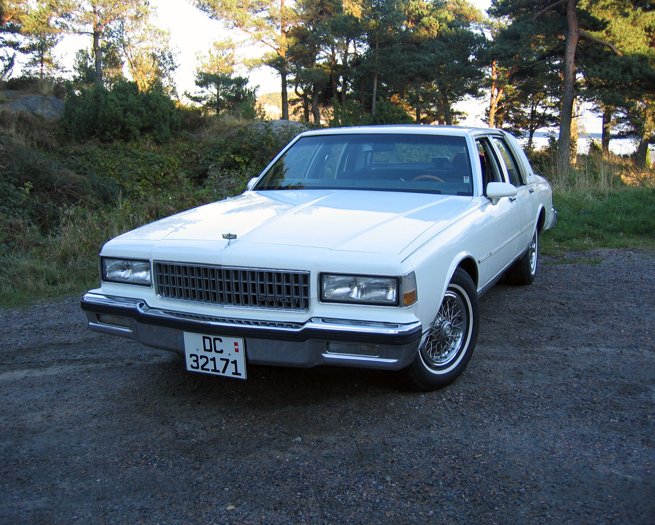 Chevrolet caprice 1989 photo - 5