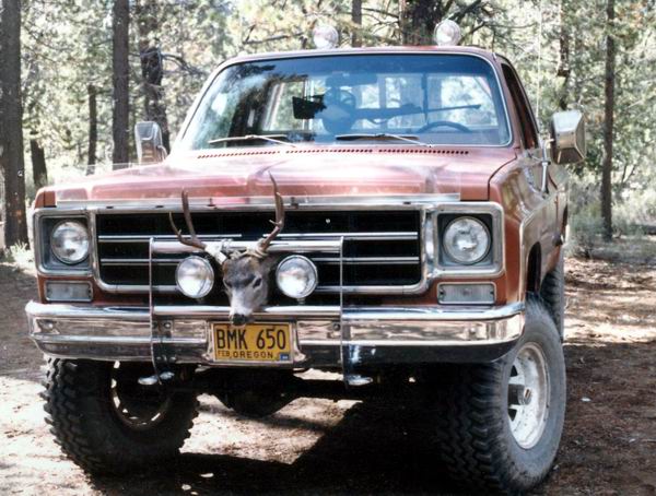 Chevrolet Silverado 1983 photo - 1