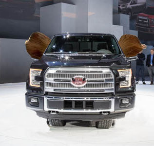 Ford f-15 2015 photo - 7
