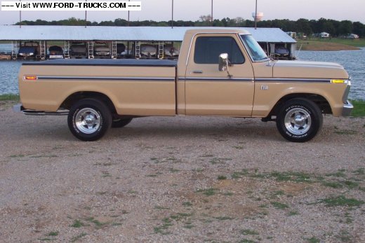 Ford f-150 1976 photo - 5
