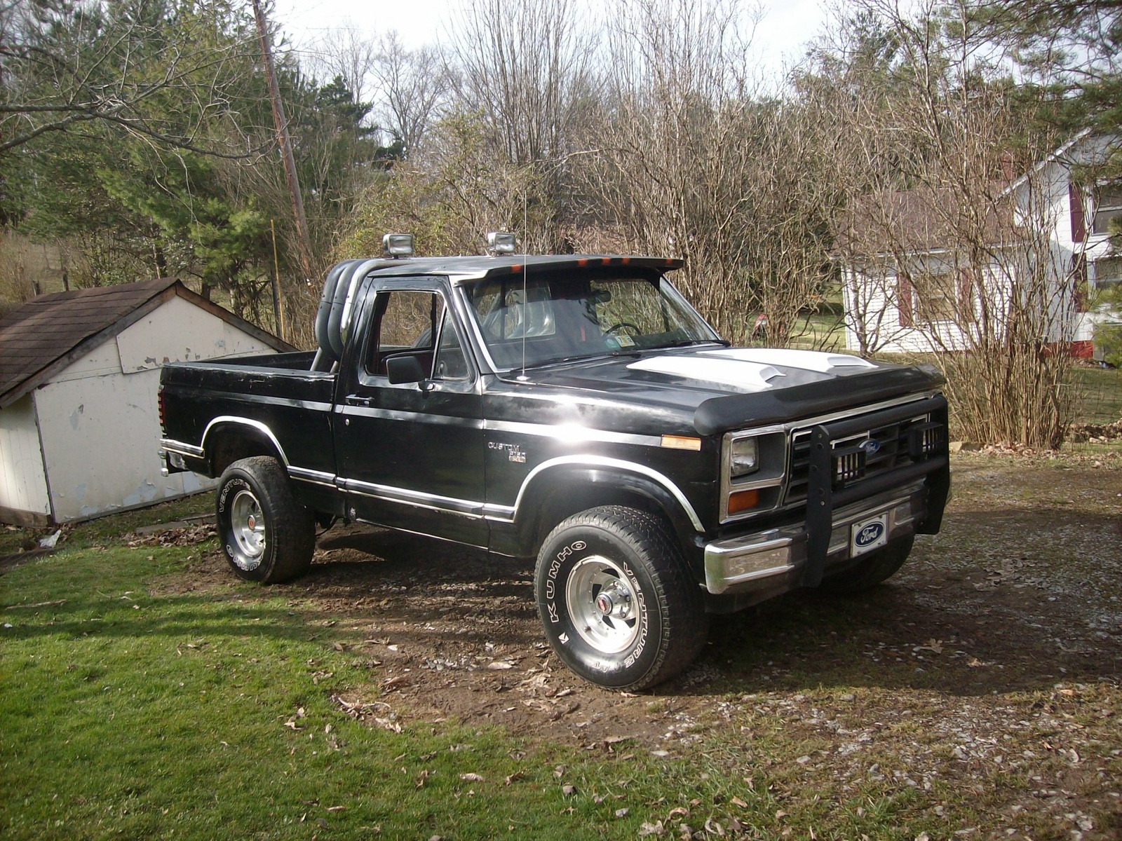 Ford f-150 1981 photo - 10