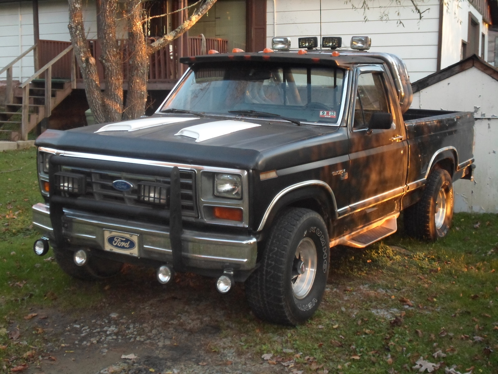 Ford f-150 1981 photo - 5
