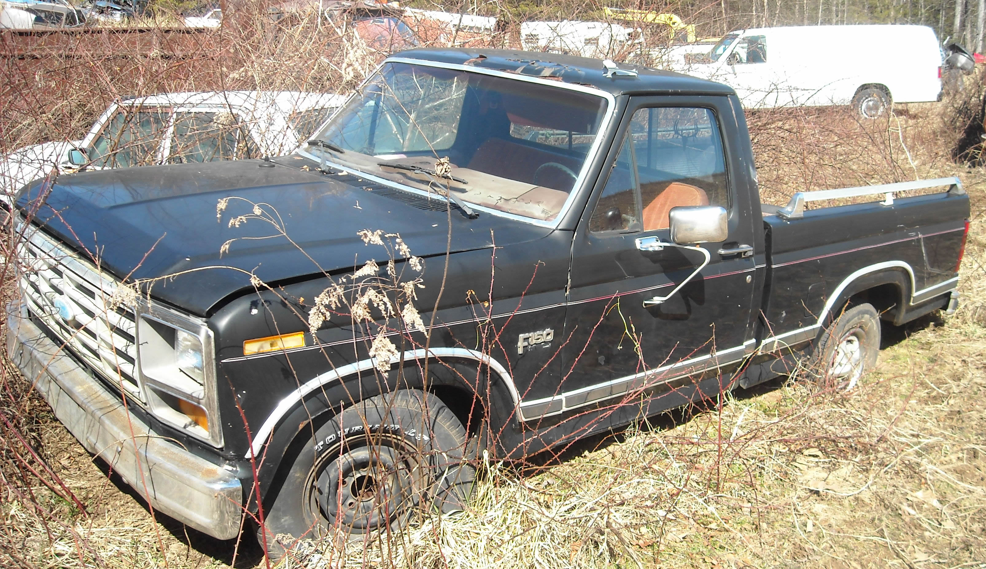 Ford f-150 1991 photo - 4