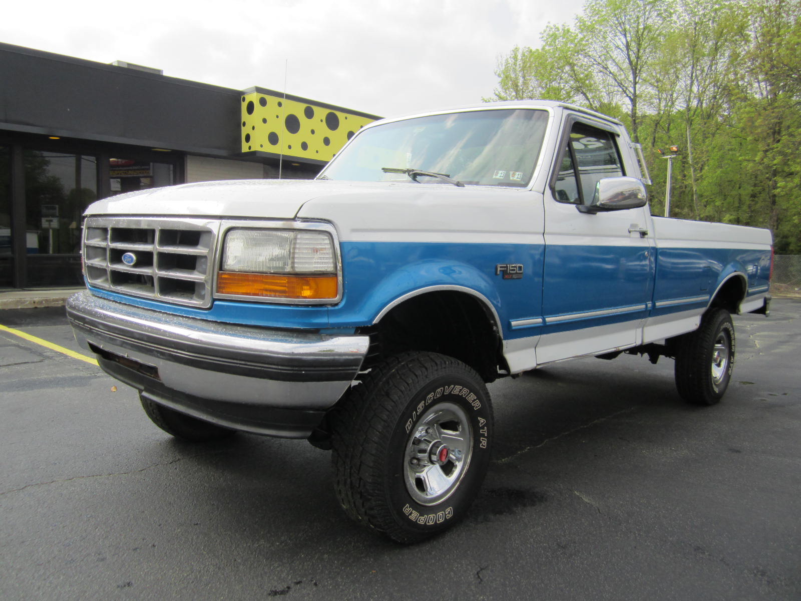 Ford F-150 1993 photo - 8