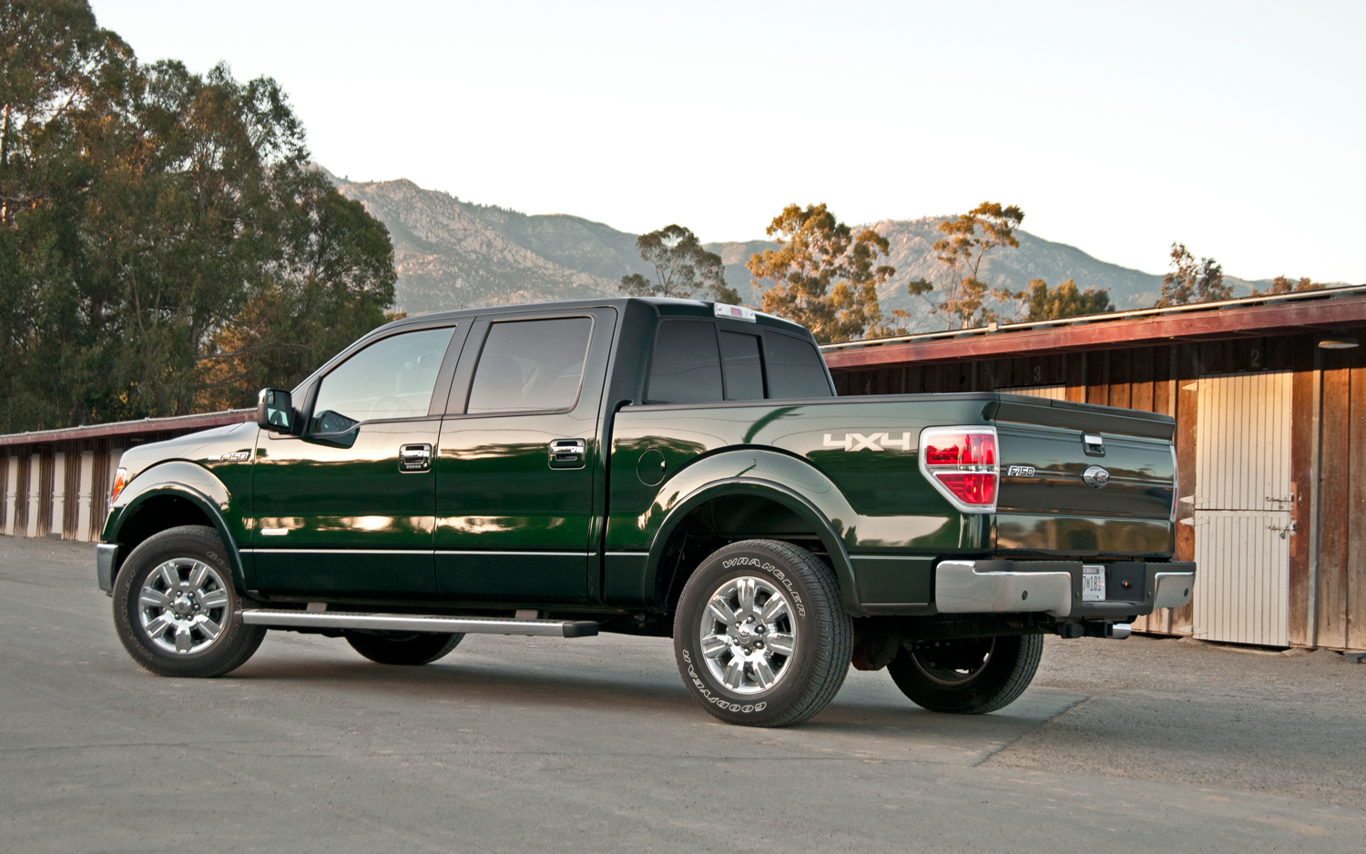 Ford f-150 2011 photo - 8