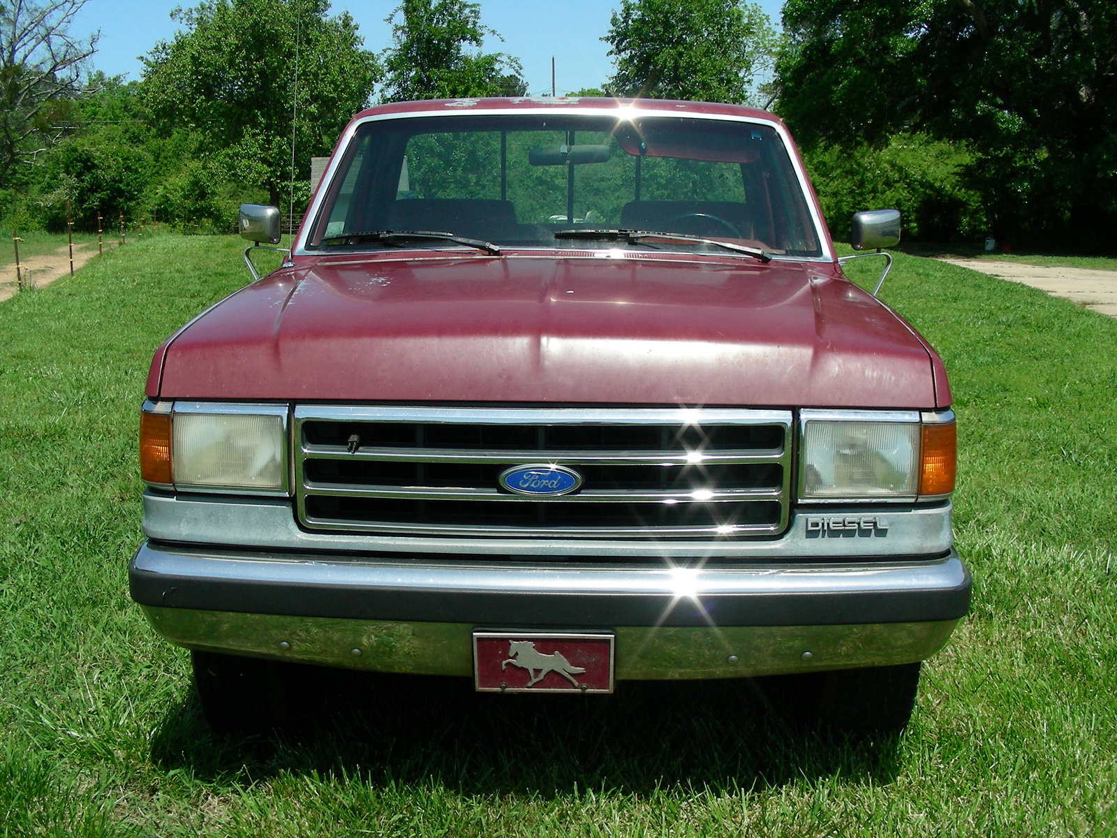 Ford f-250 1990 photo - 9