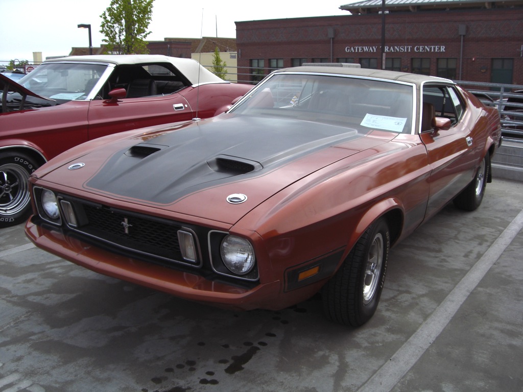 Ford Mustang 1973 photo - 2