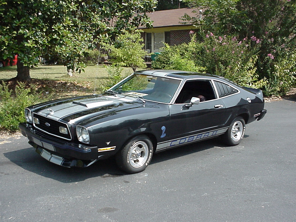 Ford Mustang 1976 photo - 1