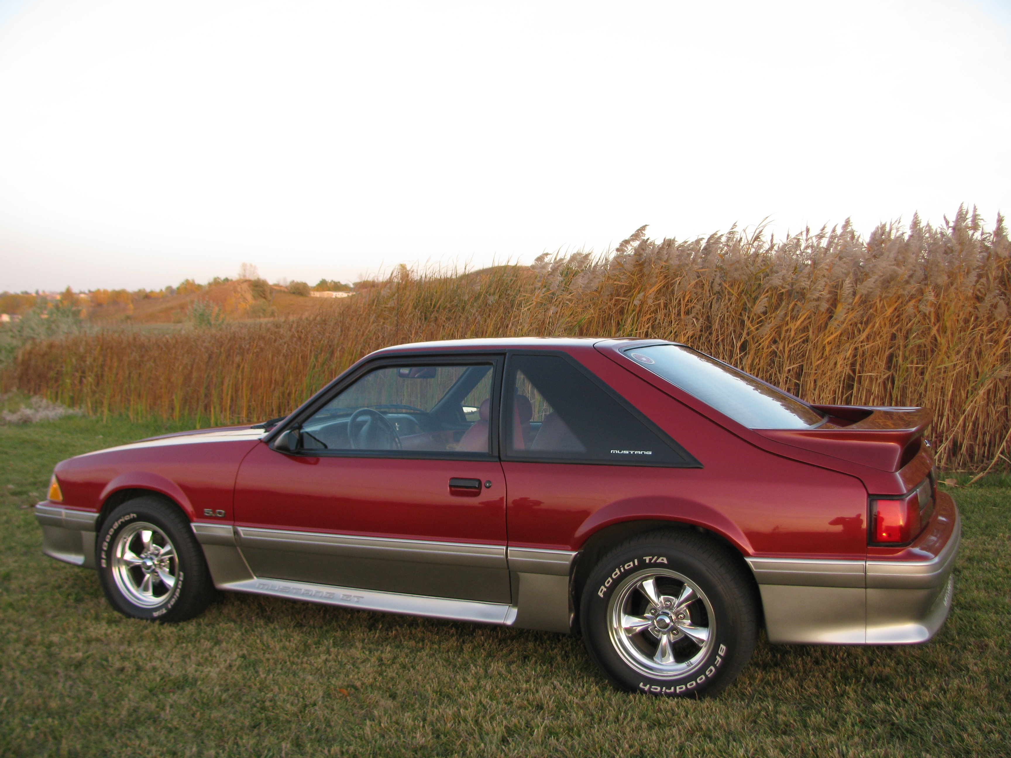 Ford Mustang 1991 photo - 8