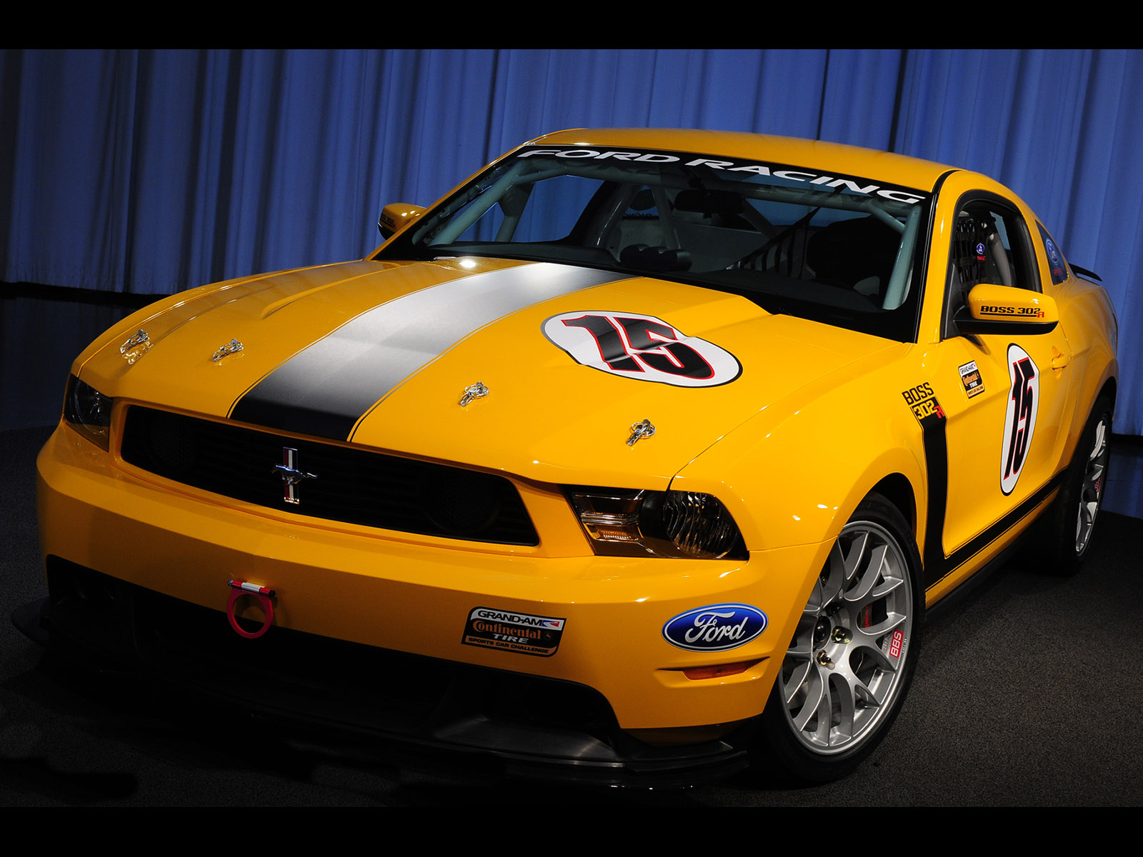 Ford Mustang 2010 photo - 10