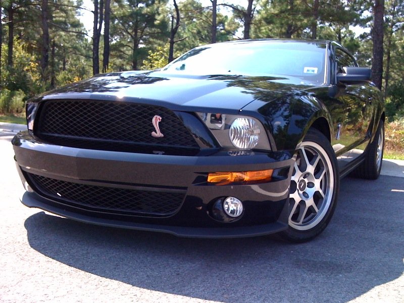 Ford Shelby 2007 photo - 3