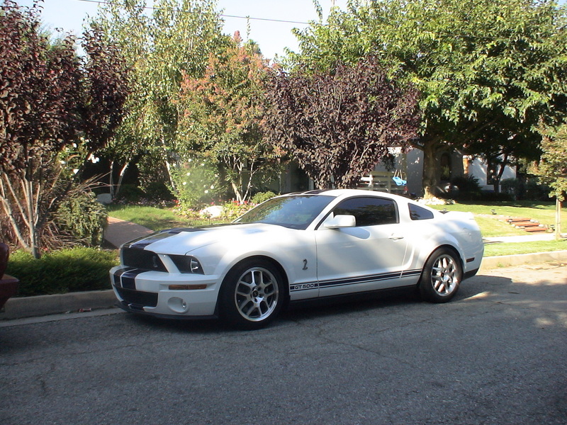 Ford Shelby 2007 photo - 5