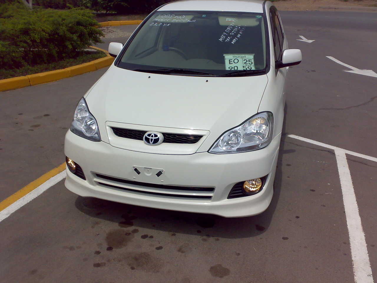 Toyota Ipsum 2008 photo - 4