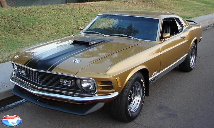 Ford Mustang 1971 Photo - 1