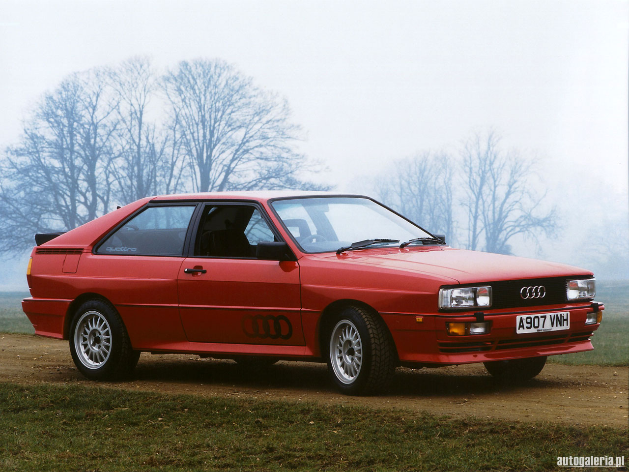 Audi Quattro 1984 photo - 4