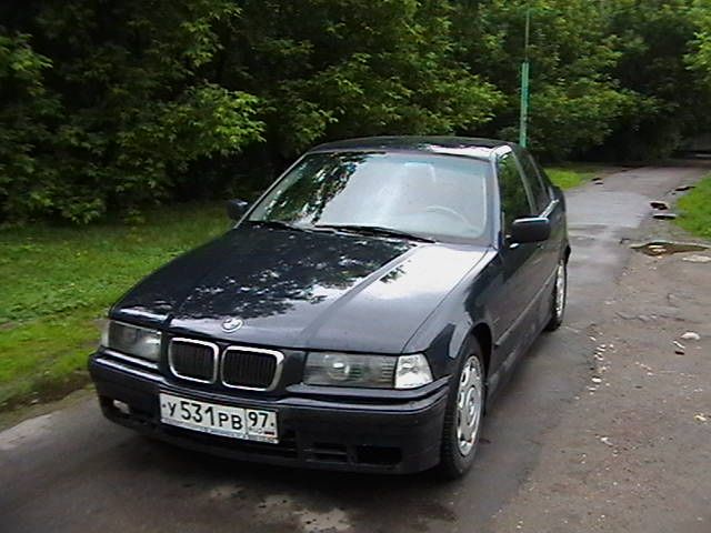 BMW 316 2005 photo - 4