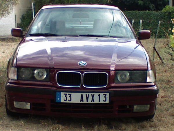 BMW 318 1991 photo - 6
