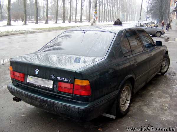 BMW 525 1994 photo - 10