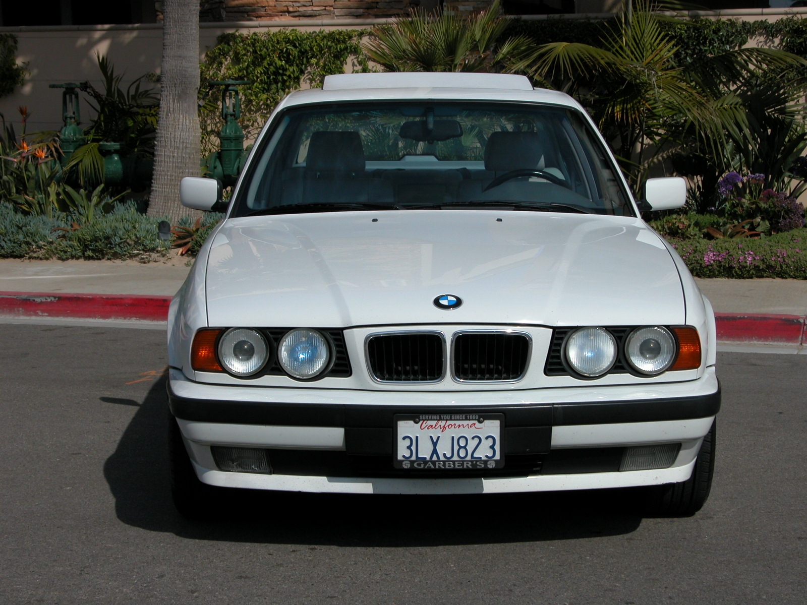 BMW 540i 1995 photo - 7