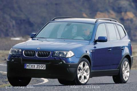 BMW X3 2003 photo - 3