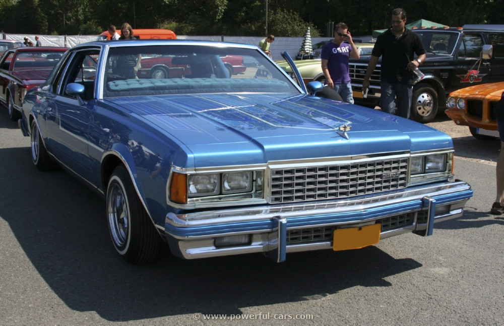 Chevrolet caprice 1978 photo - 7