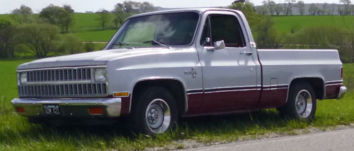Chevrolet Cheyenne 1982 photo - 1