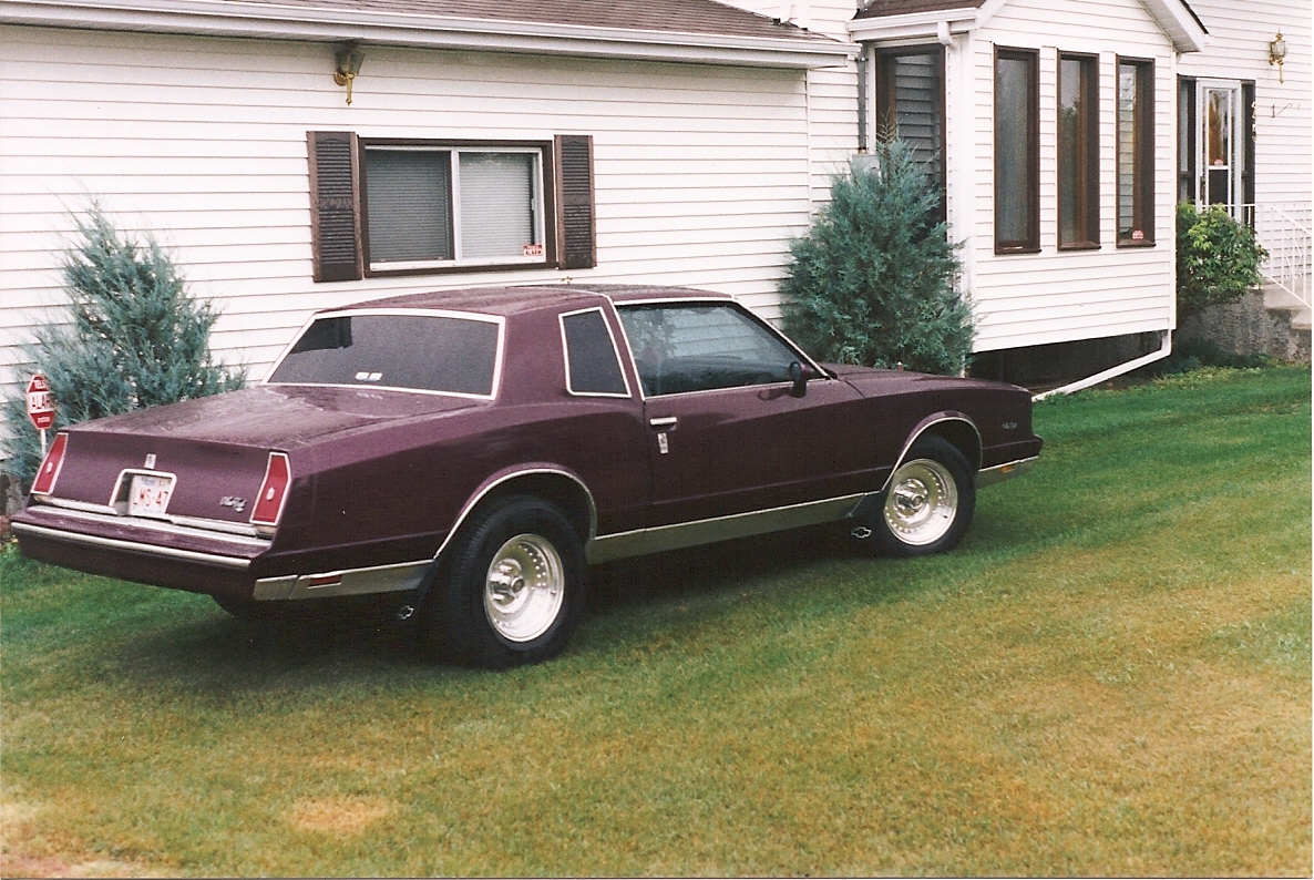 Chevrolet LUV 1981 photo - 5