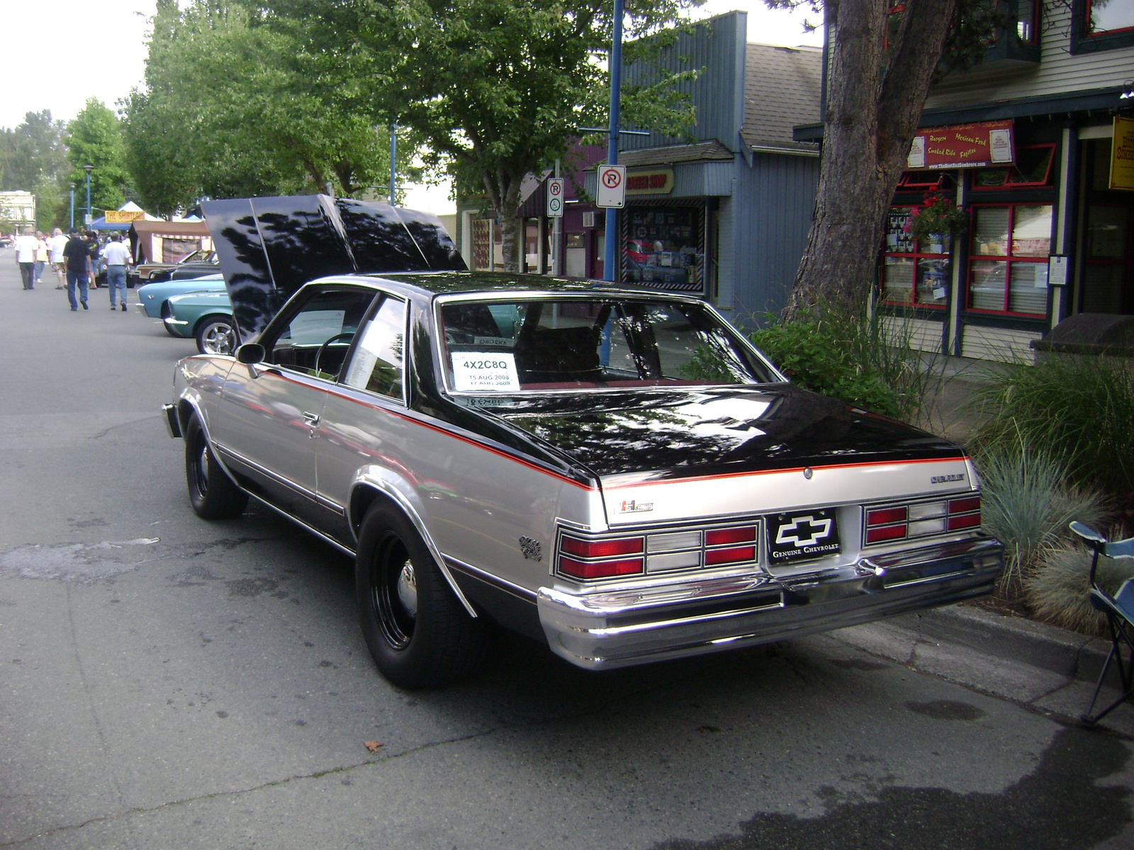 Chevrolet malibu 1983 photo - 4