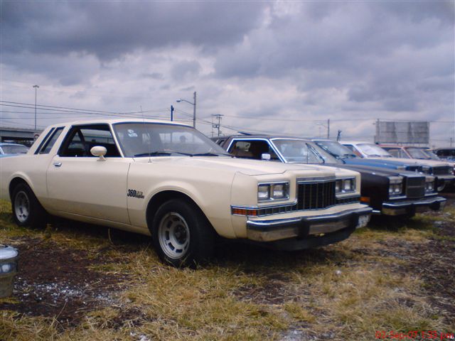 Dodge Magnum 1981 photo - 1