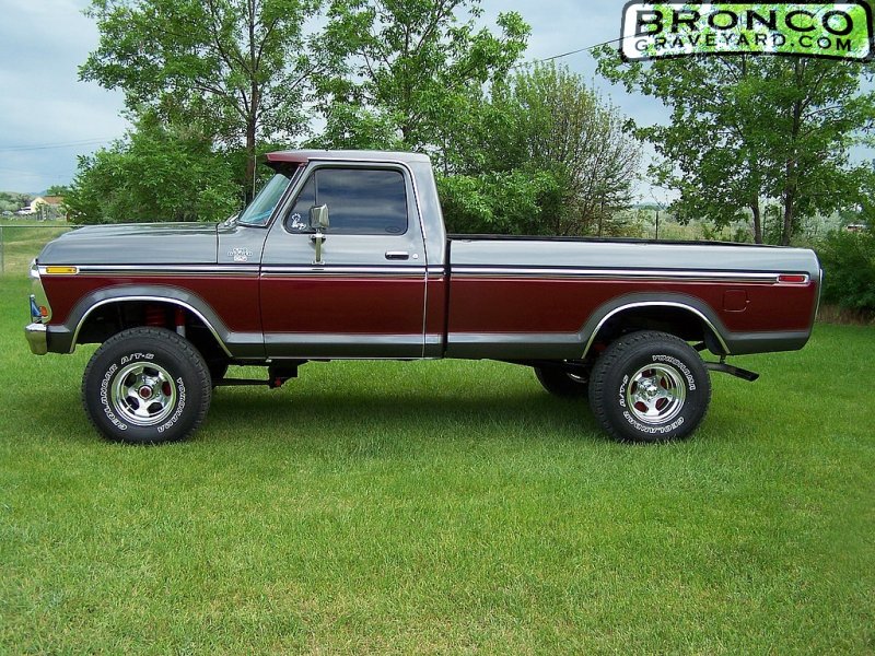 Ford F-150 1978 photo - 2