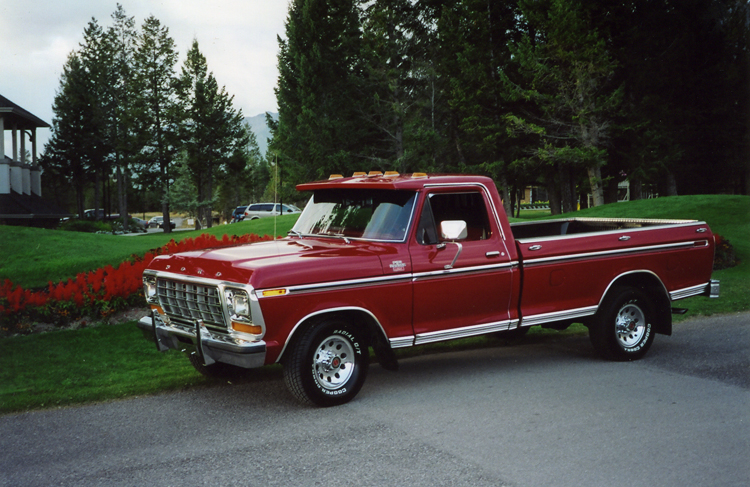 Ford F-150 1978 photo - 3