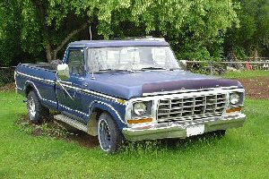 Ford F-150 1978 photo - 5