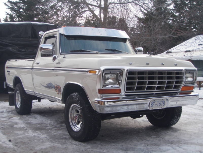 Ford F-150 1978 photo - 8