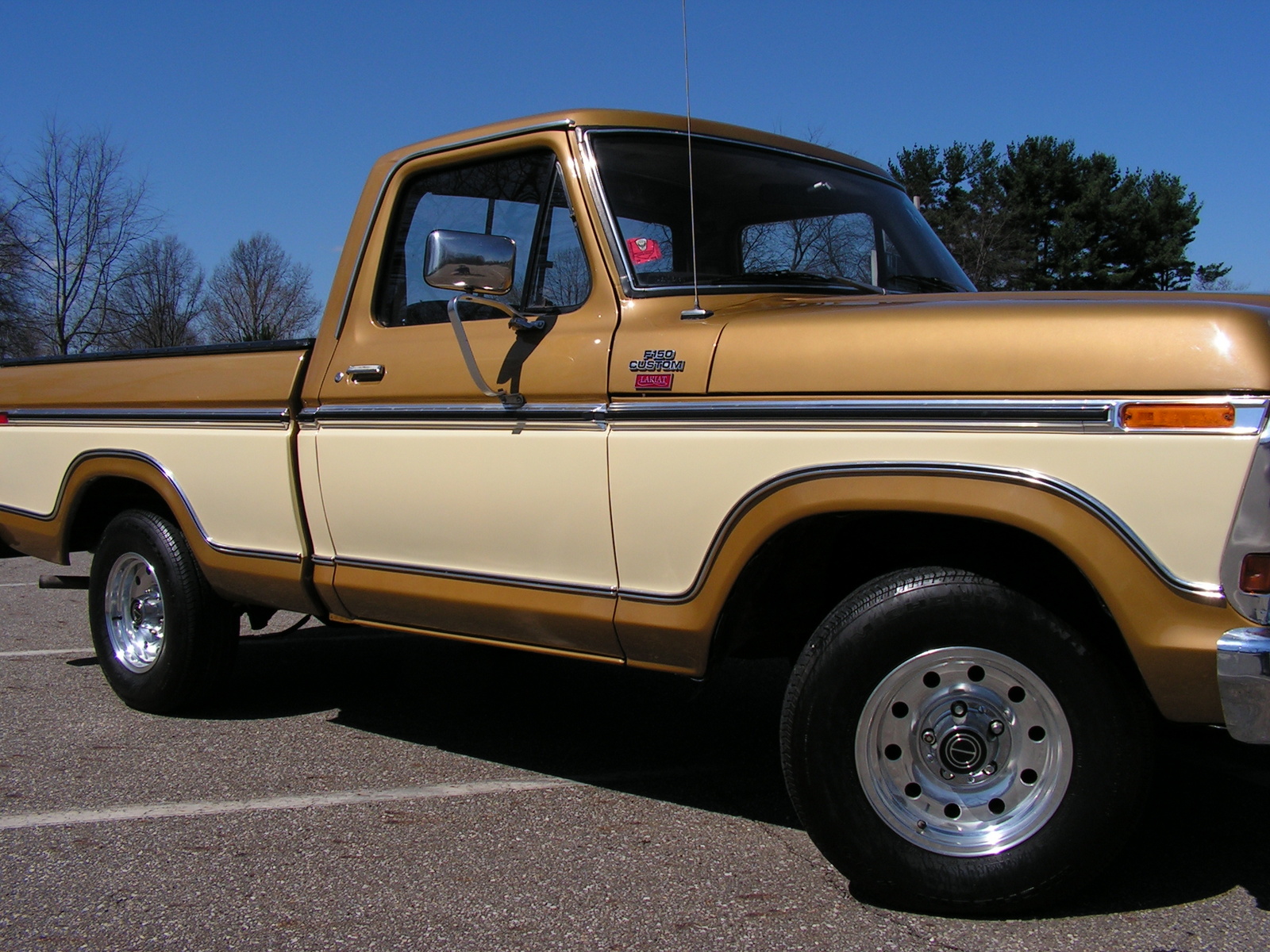 Ford F-150 1979 photo - 3