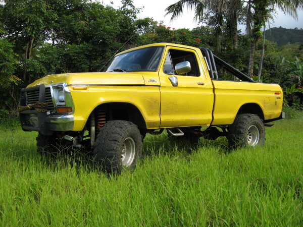 Ford F-150 1979 photo - 5