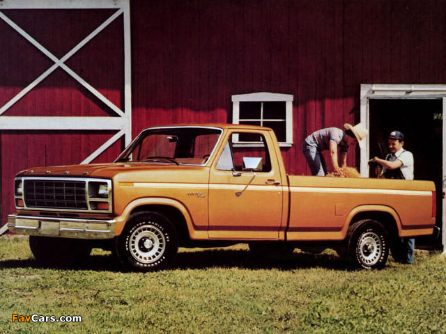 Ford f-150 1980 photo - 4