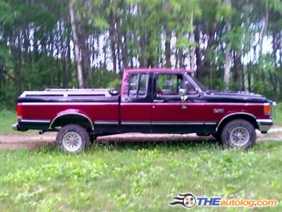 Ford f-150 1990 photo - 2