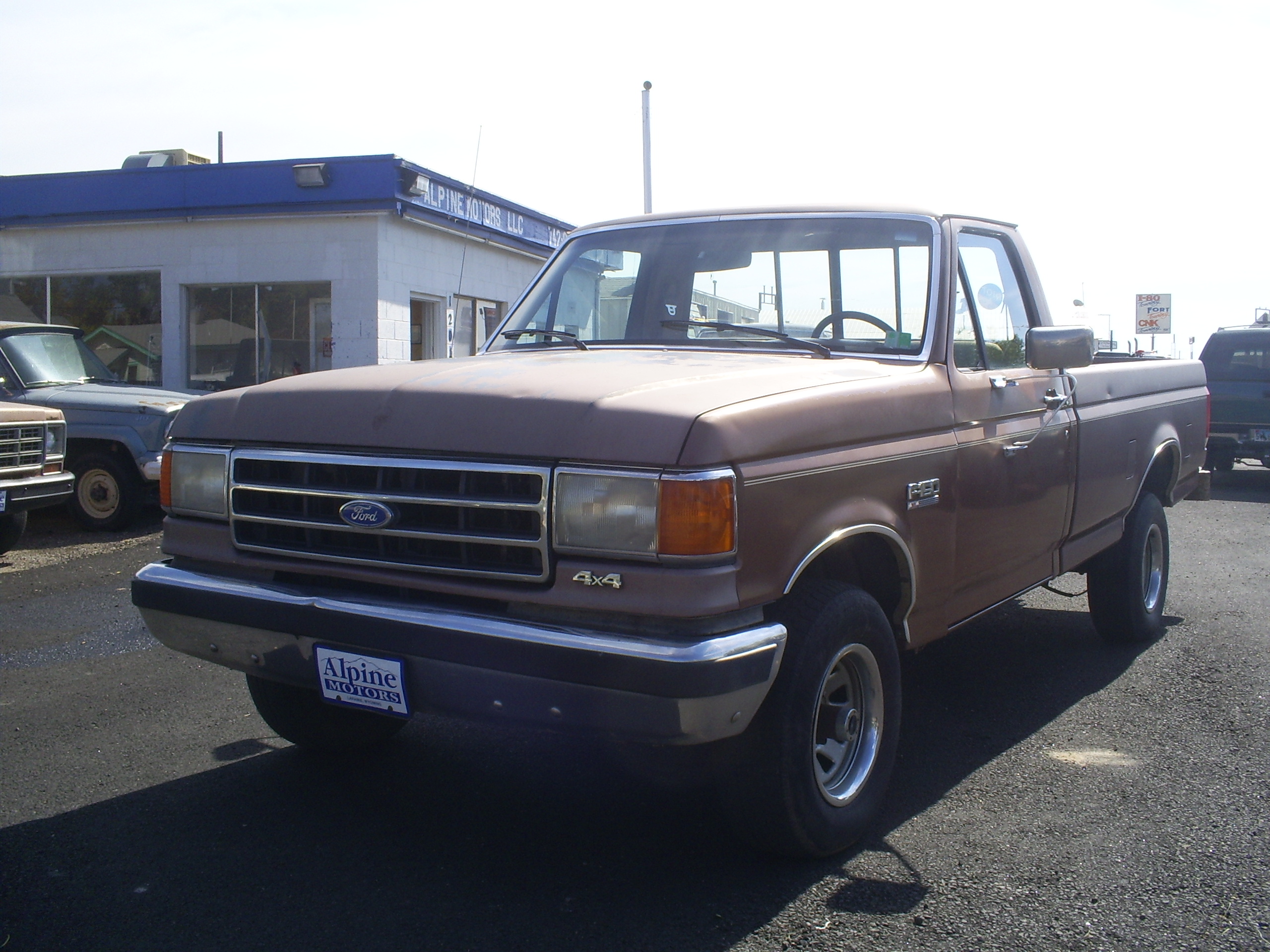 Ford f-150 1991 photo - 1