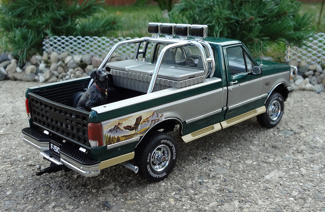 Ford f-150 1996 photo - 6