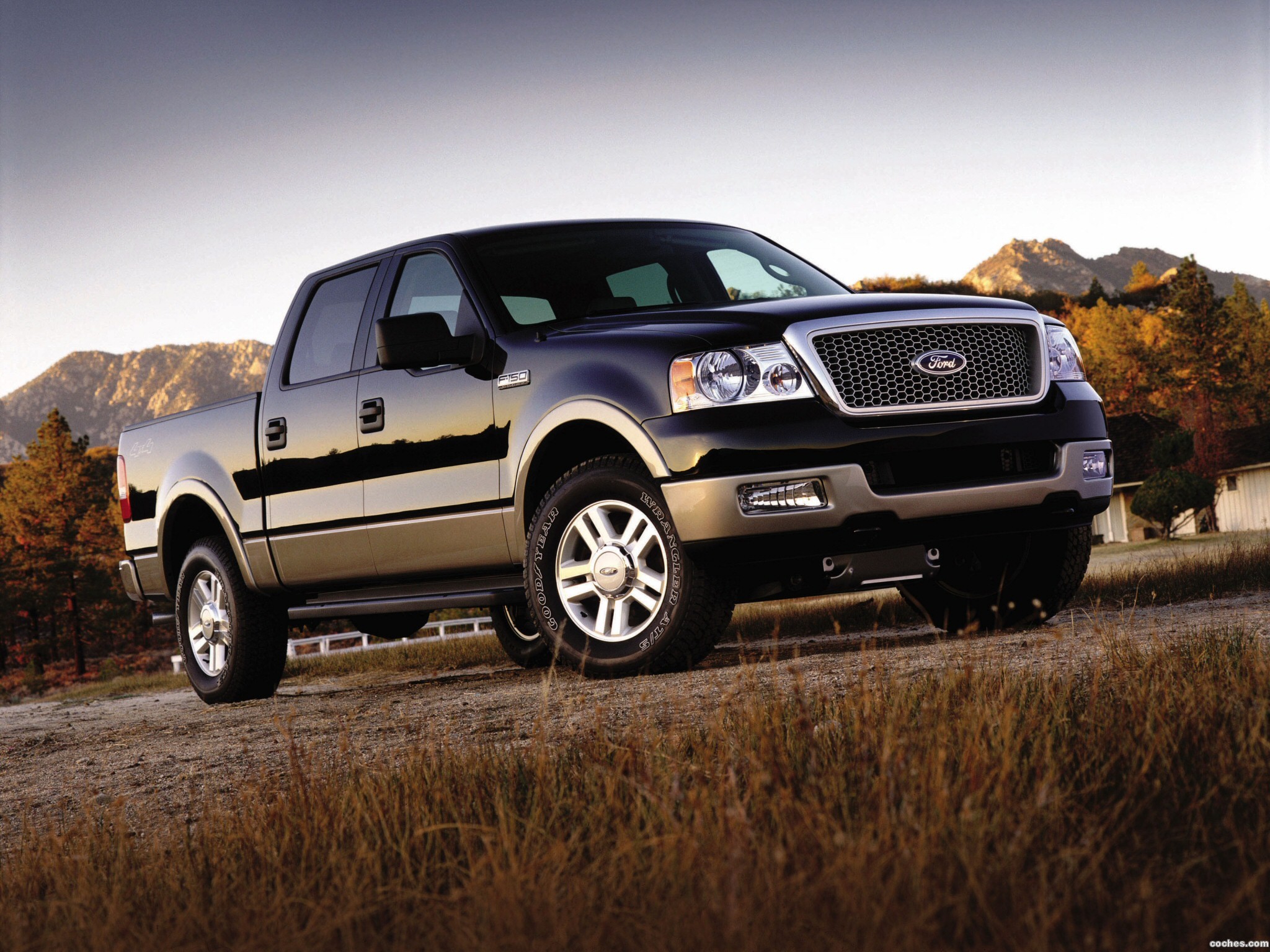 Ford F-150 2004 photo - 4