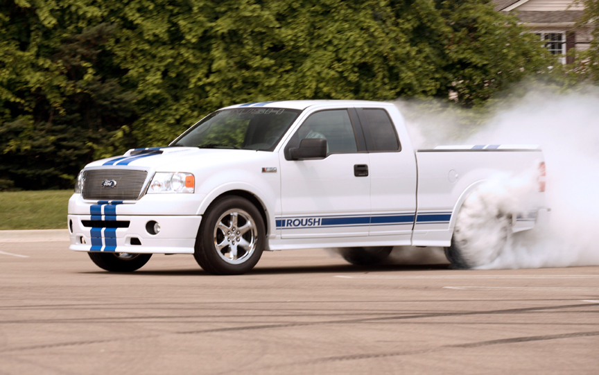 Ford f-150 2008 photo - 6