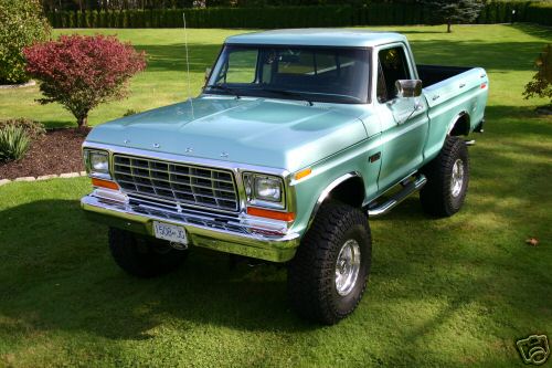 Ford f-250 1978 photo - 2