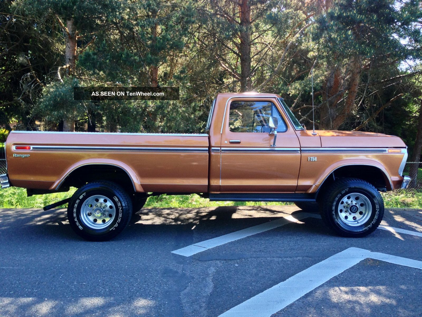 Ford f-250 1978 photo - 7