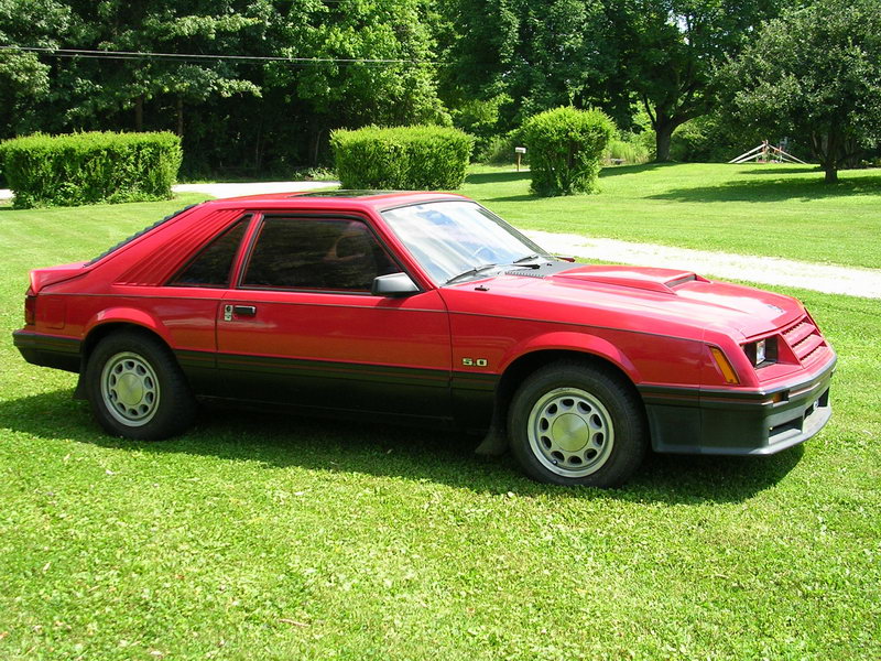 Ford Mustang 1982 photo - 6