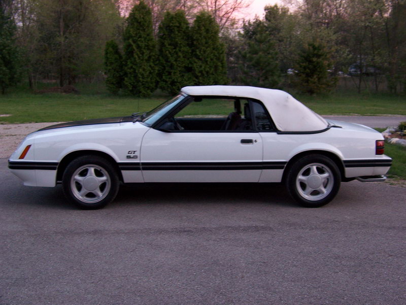 Ford Mustang 1984 photo - 1