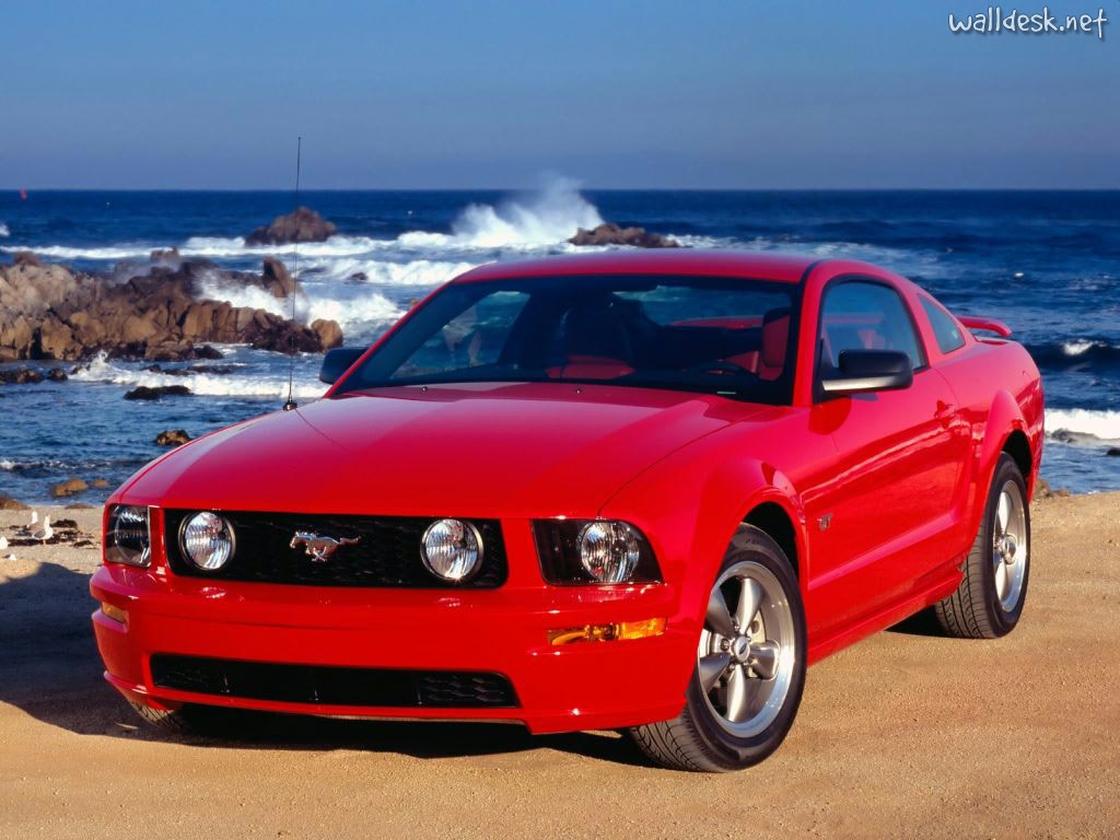 Ford Mustang 2005 photo - 4