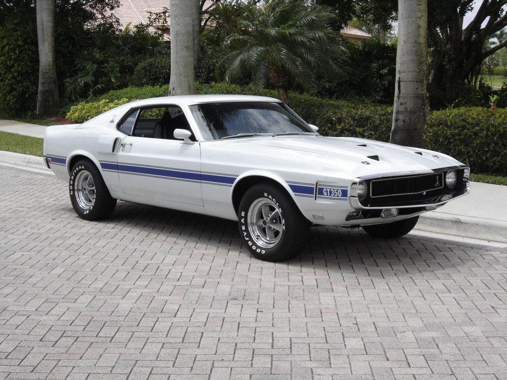Ford Shelby 1969 photo - 4